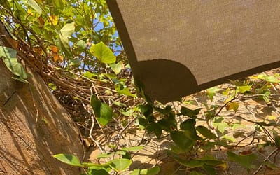 What fabric is used for shade sails?