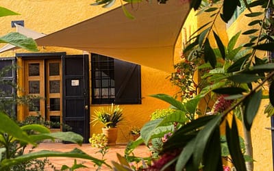 What design is suitable?